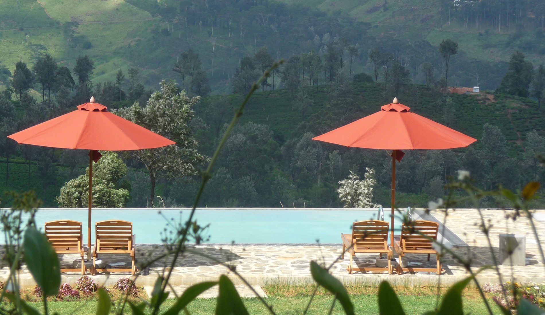 Madulkelle Tea & Eco Lodge 4 étoiles Kandy Sri Lanka piscine